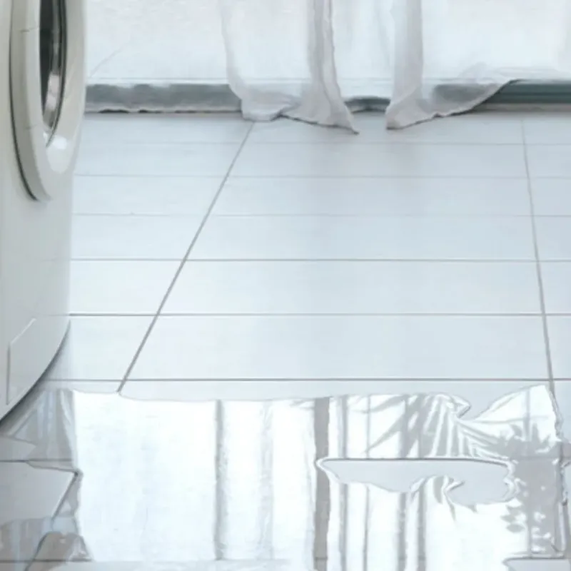 Appliance Leak Cleanup in Clay, KY