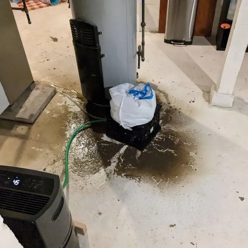Sewage Backup Cleanup Service in Clay, KY